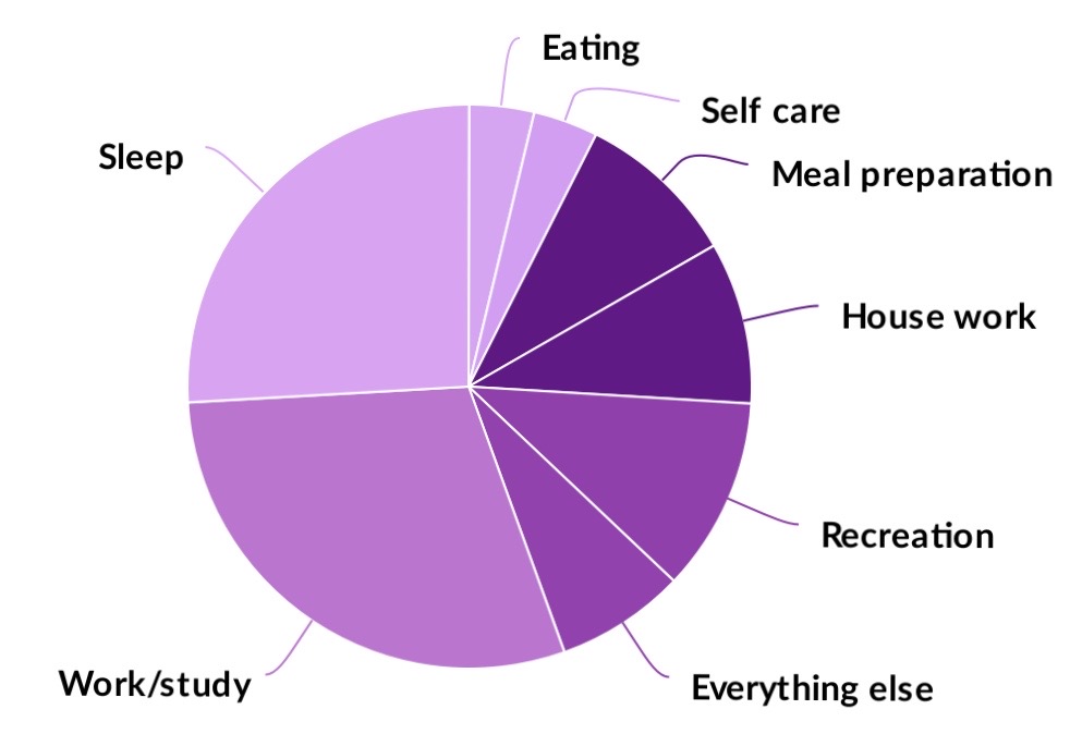 Activity Categories Pie Chart